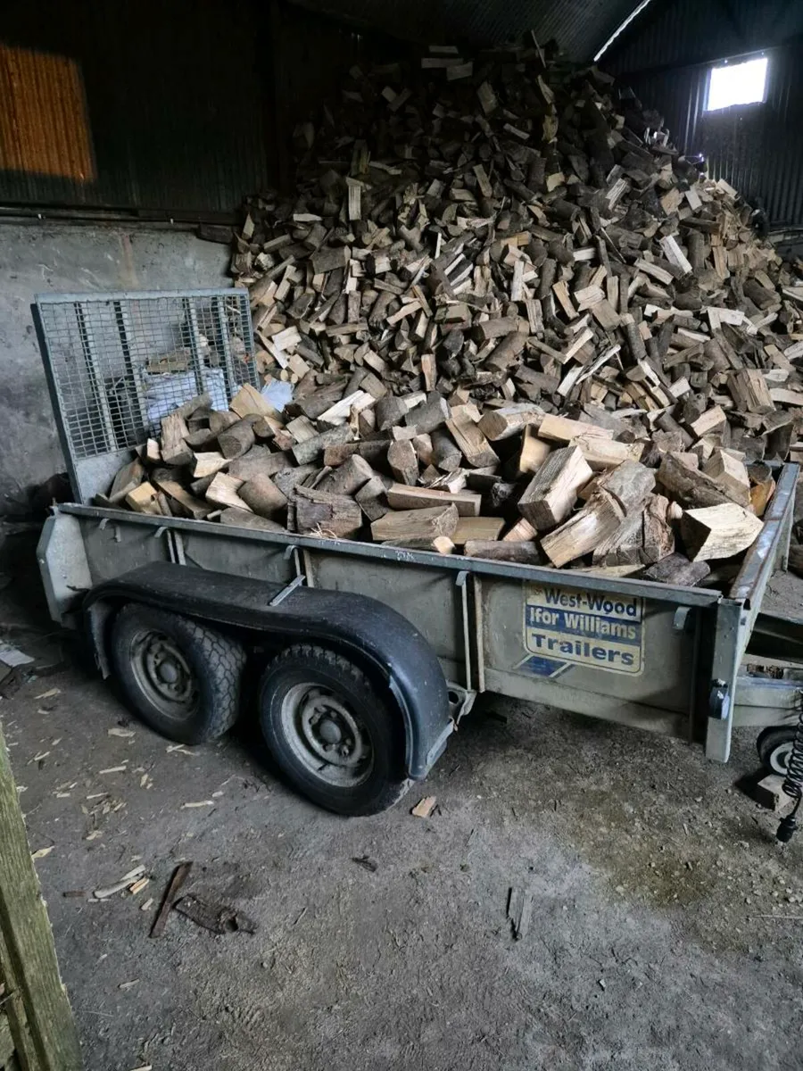 Ash firewood - Image 1