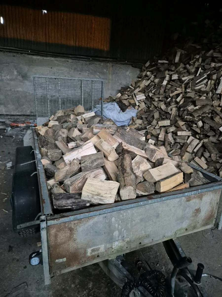 Ash firewood - Image 2