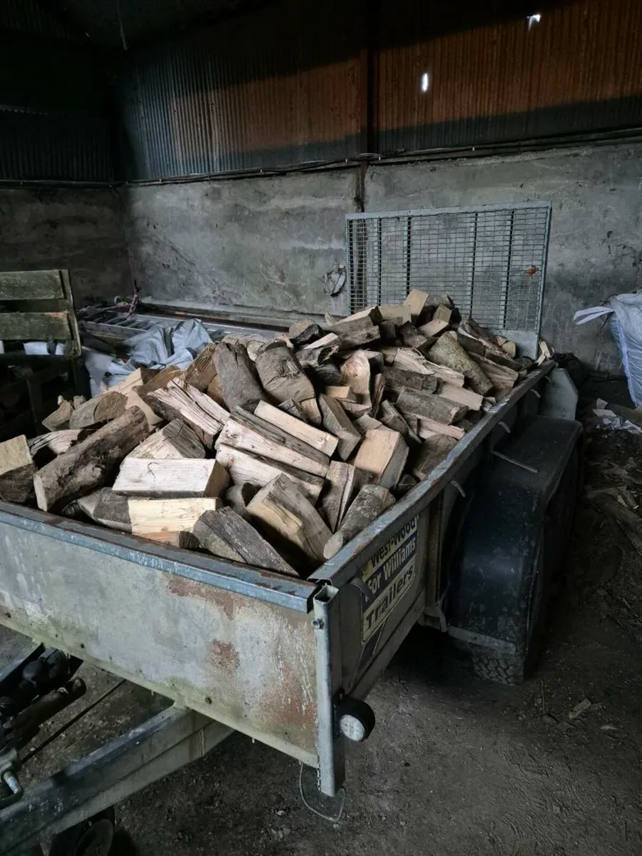 Ash firewood - Image 3