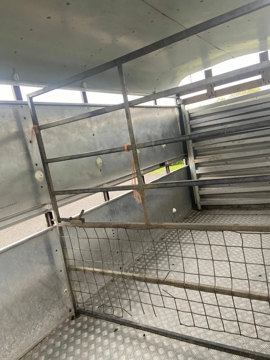 Cattle trailer - Image 2