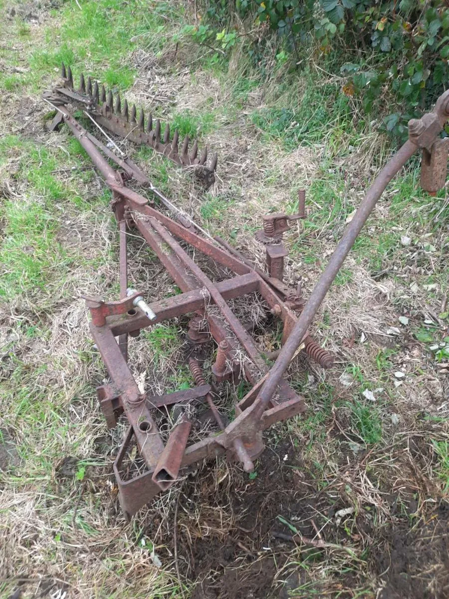 Teagle hedgecutter ferguson grubber 150 euro for 2 - Image 1