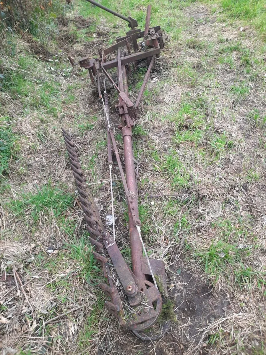 Teagle hedgecutter ferguson grubber 150 euro for 2 - Image 3