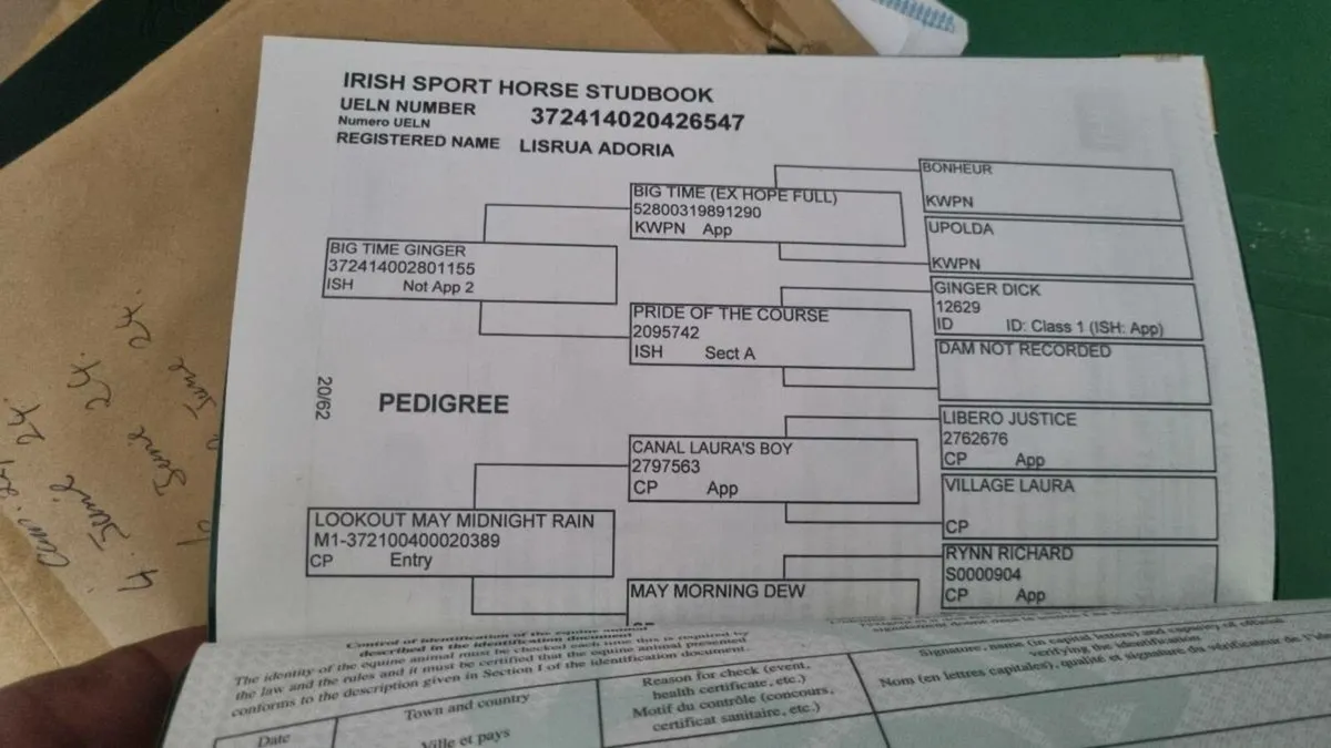 Brood mare - Image 3
