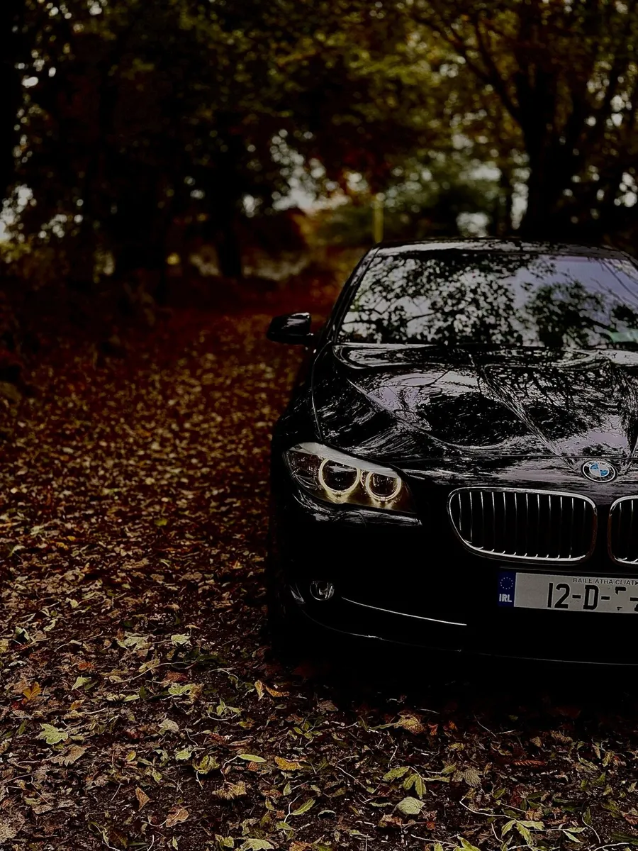 BMW F10 - Image 1