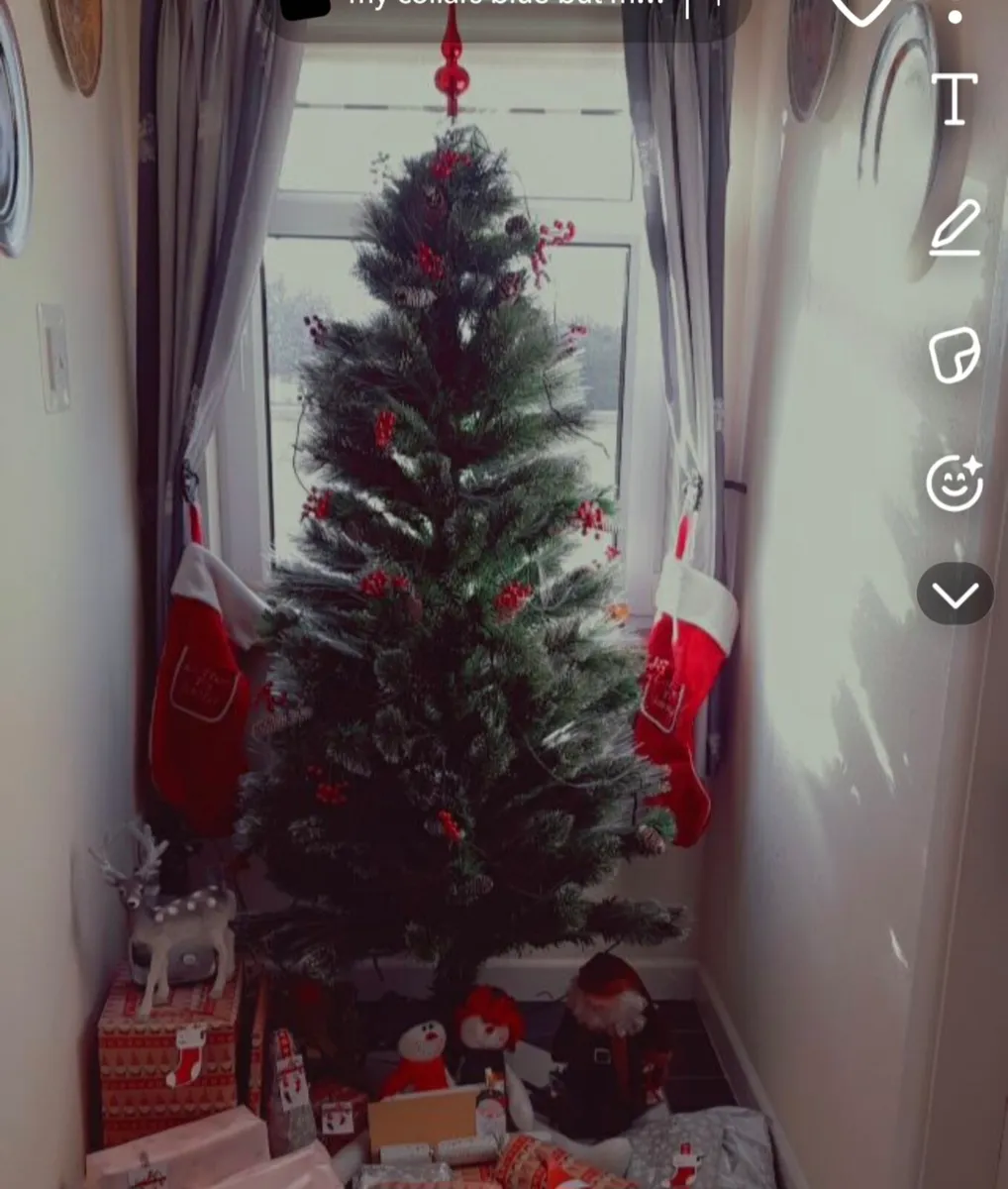Xmas tree - Image 1