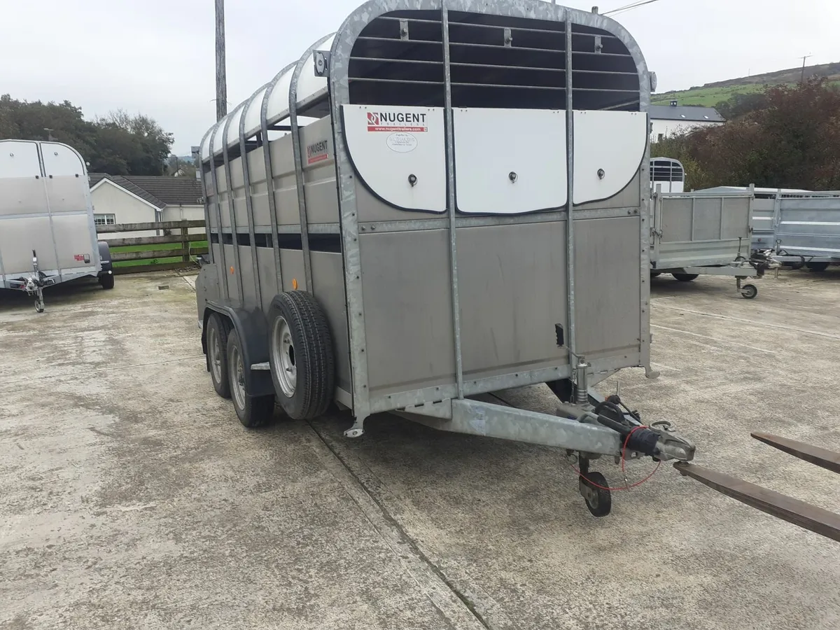 Choice 12x6 livestock trailers - Image 2
