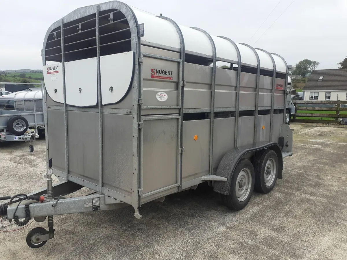 Choice 12x6 livestock trailers - Image 3