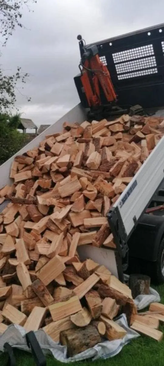 Firewood - Image 1