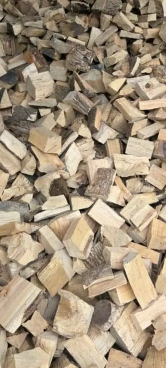 Firewood - Image 2