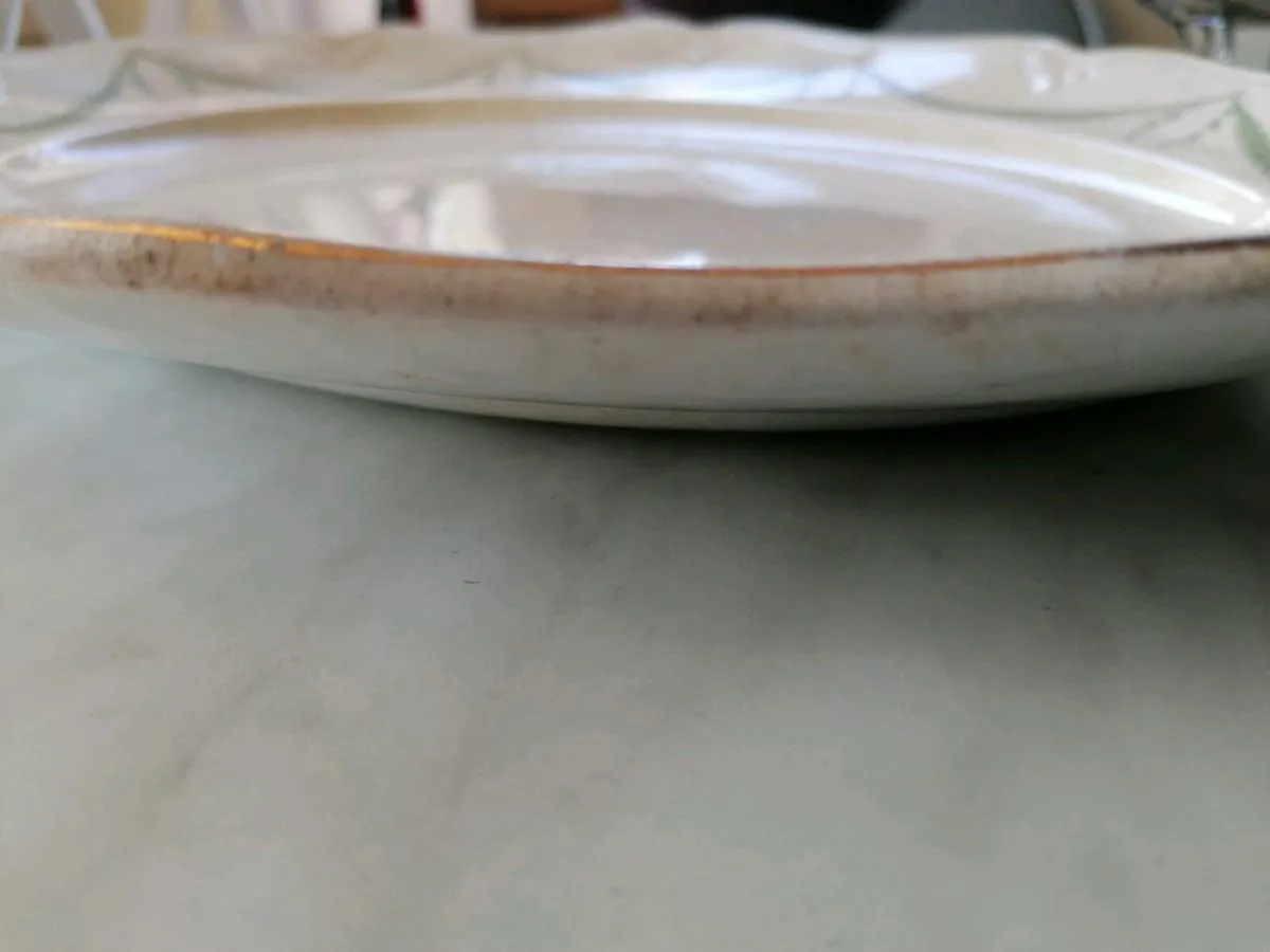 Large Vintage Meat Platter - Image 4