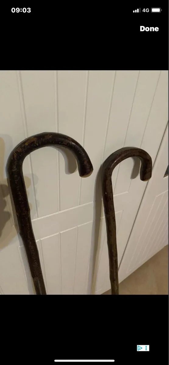 His & Hers Walking Stick Set - Image 1
