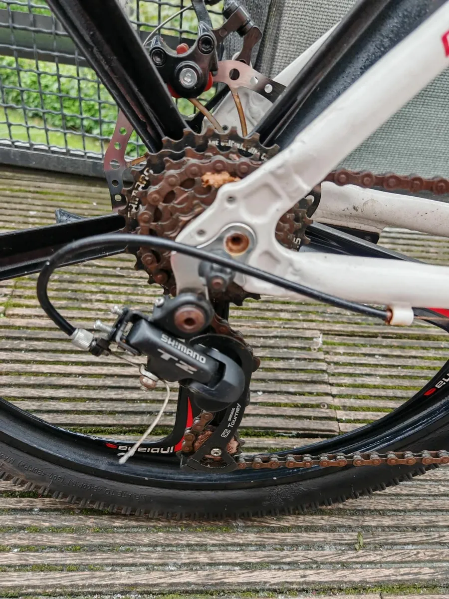 Indiana MTB bike with aluminum wheels DUBLIN - Image 4
