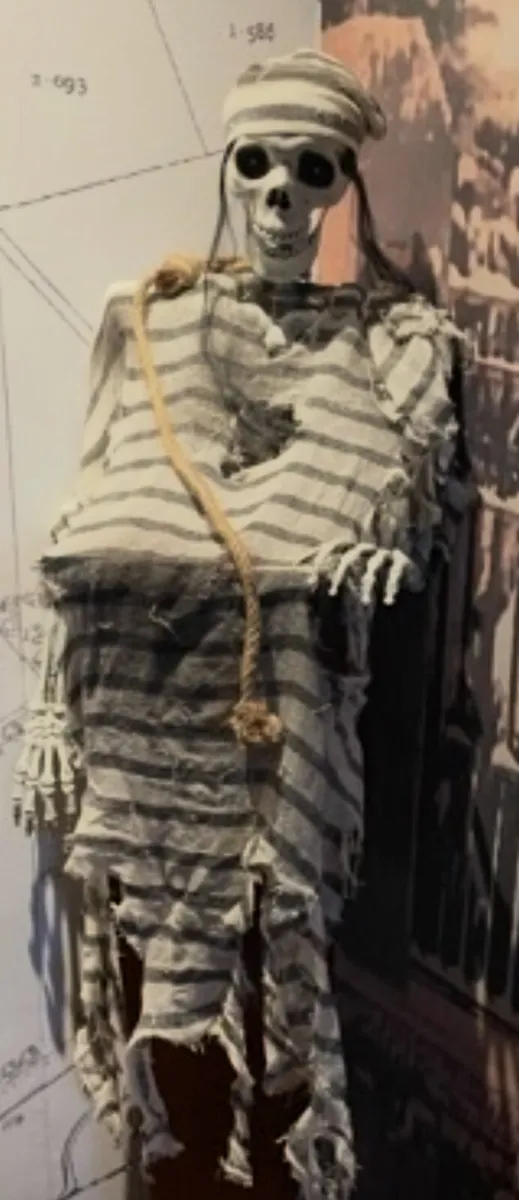 Halloween Decorations Valued at €1500 - Image 4
