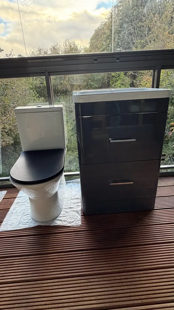 Vanity unit and toilet
