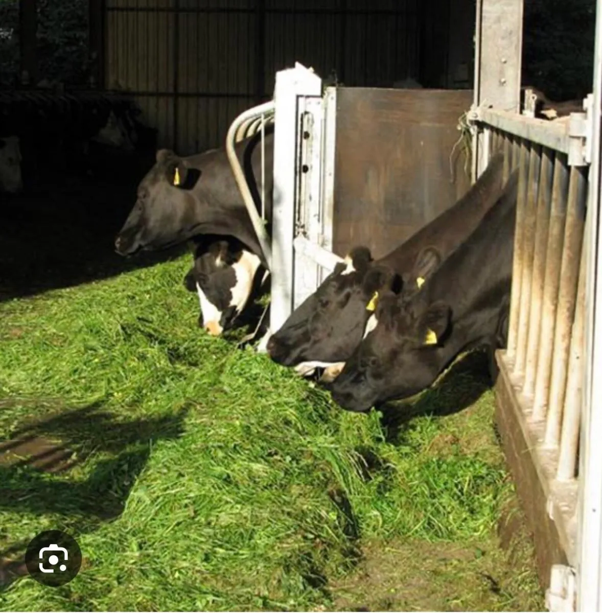 feed barrier - Image 2