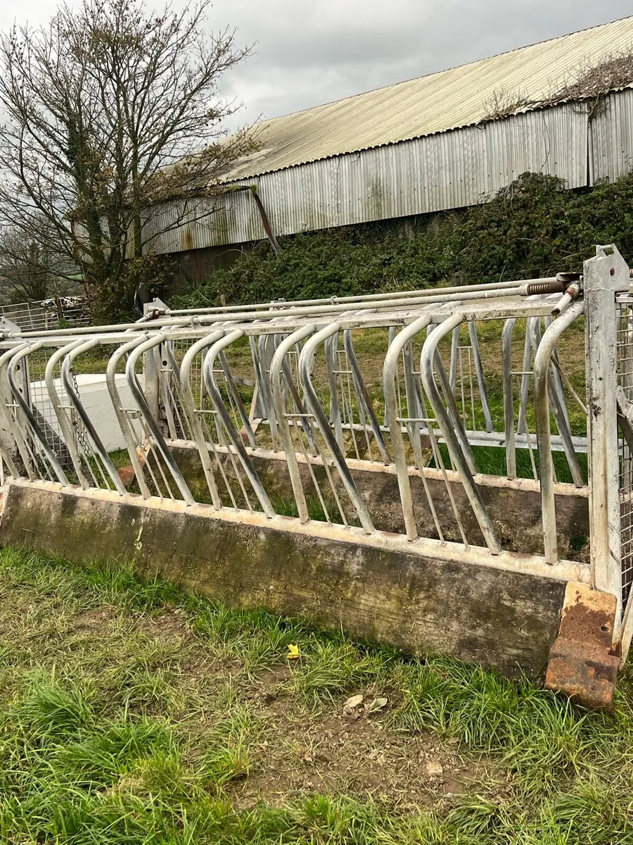 feed barrier - Image 3