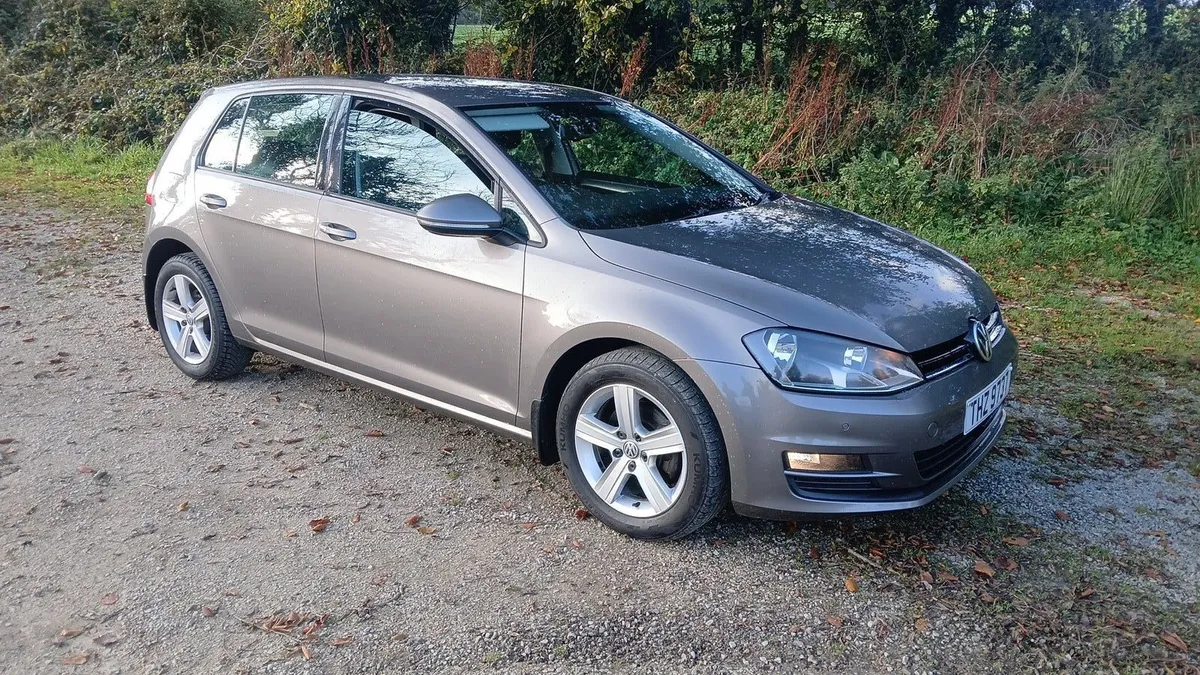 2016 Volkswagen golf 1.6 tdi - Image 1
