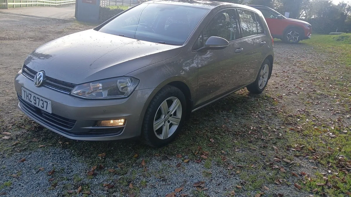 2016 Volkswagen golf 1.6 tdi - Image 2