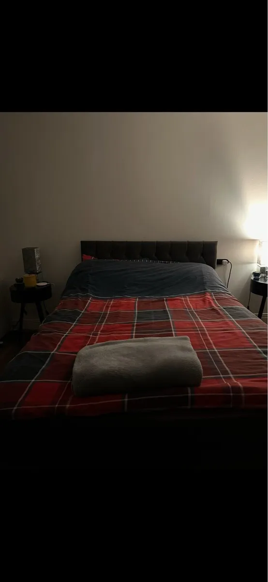 Grey double velvet bed - Image 1