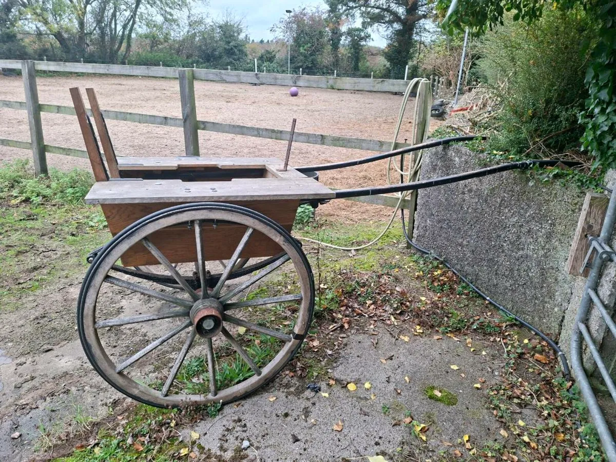 Horse cart for repair or novelty - Image 1