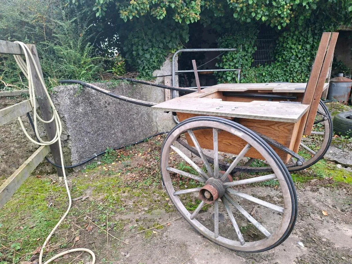 Horse cart for repair or novelty - Image 3
