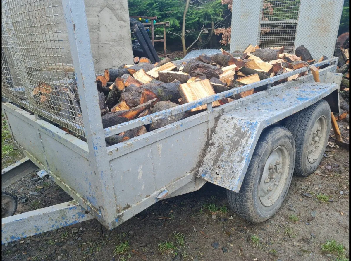 Beech hardwood - Image 2