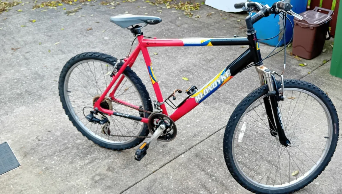 Adults bike - Image 1