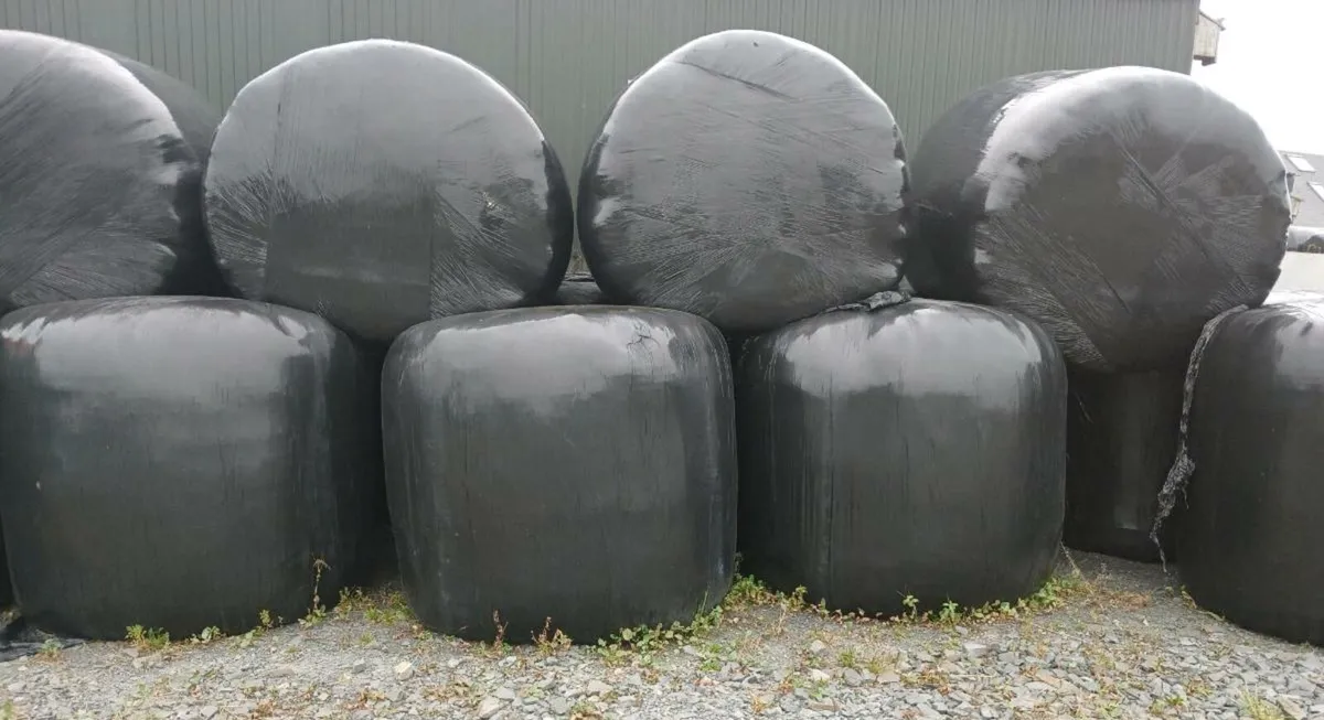 Silage bales