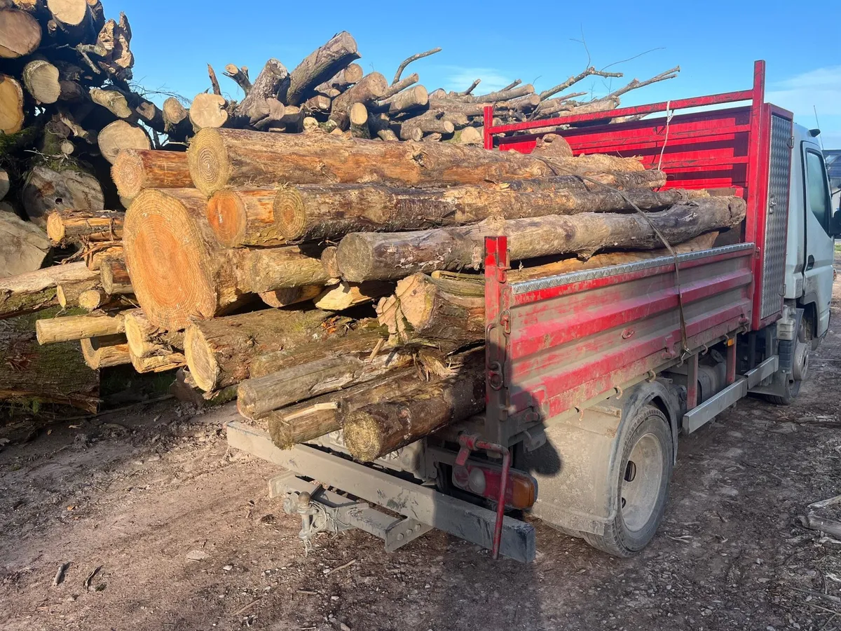 Firewood - Image 4