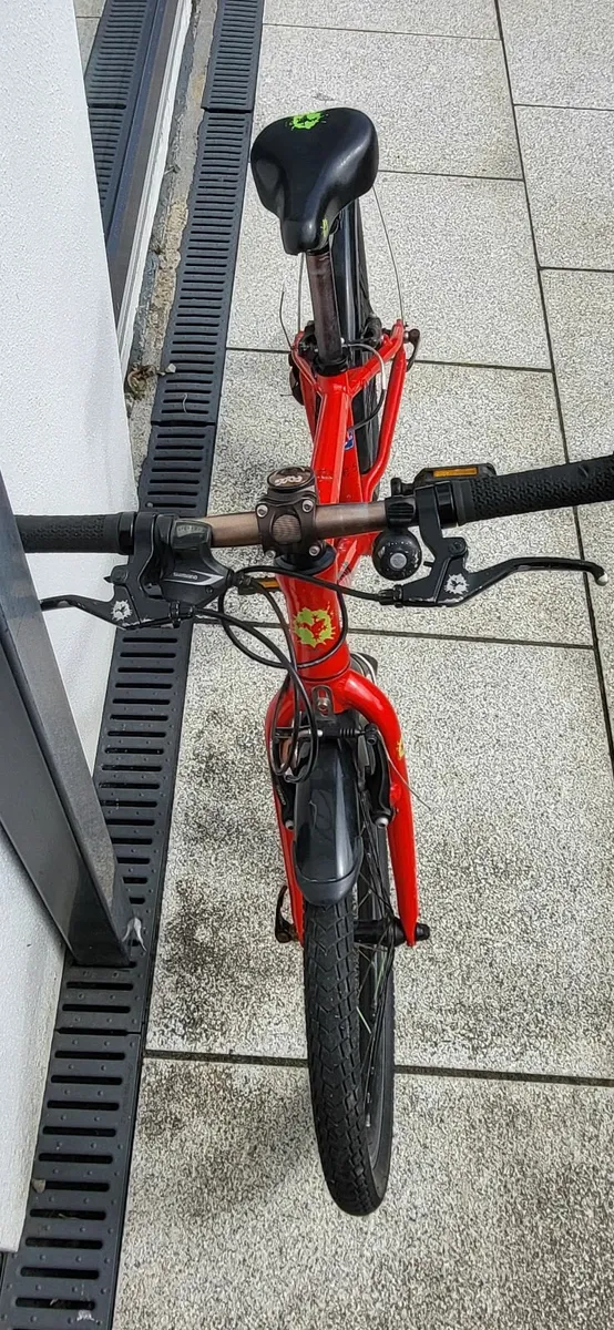 Frog bike - Image 3