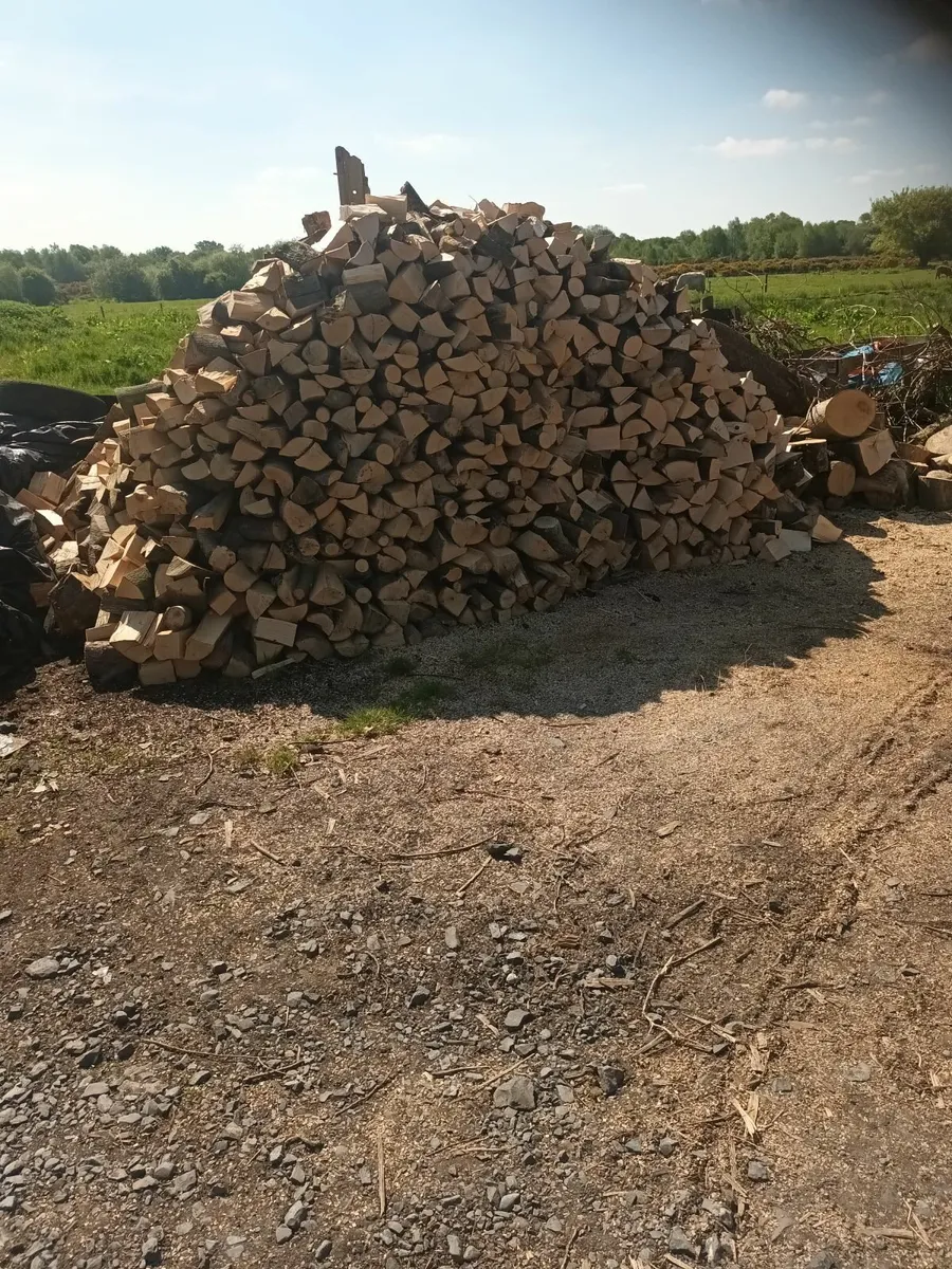 Firewood - Image 1