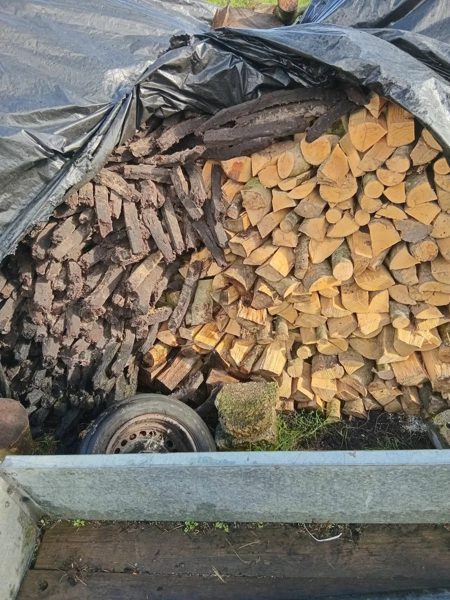 Firewood - Image 2