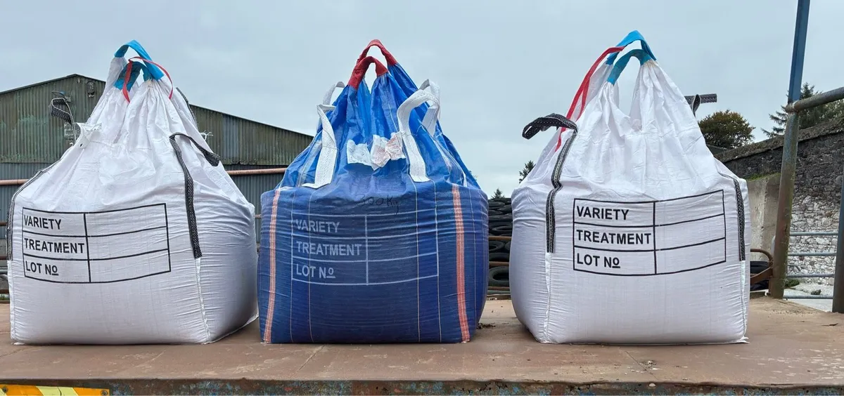Winter Barley seed and Winter Wheat seed