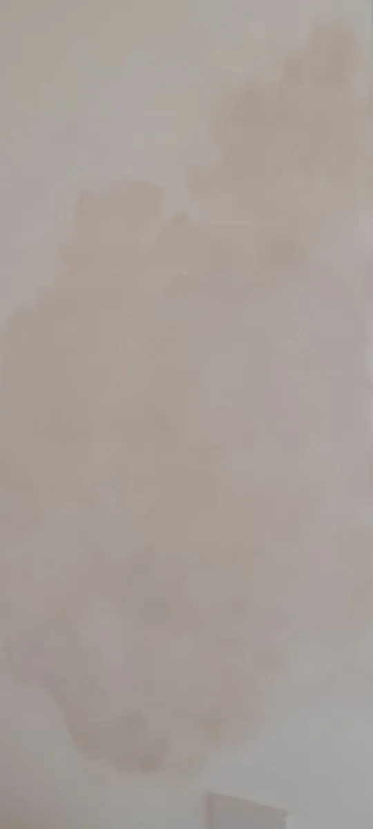 Paint Blend - 10ltrs - Image 2