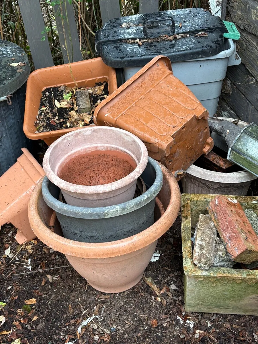 Pot plants