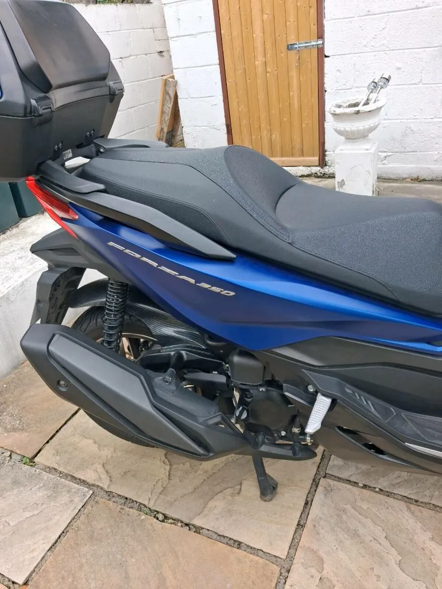 Honda Forza - Image 2