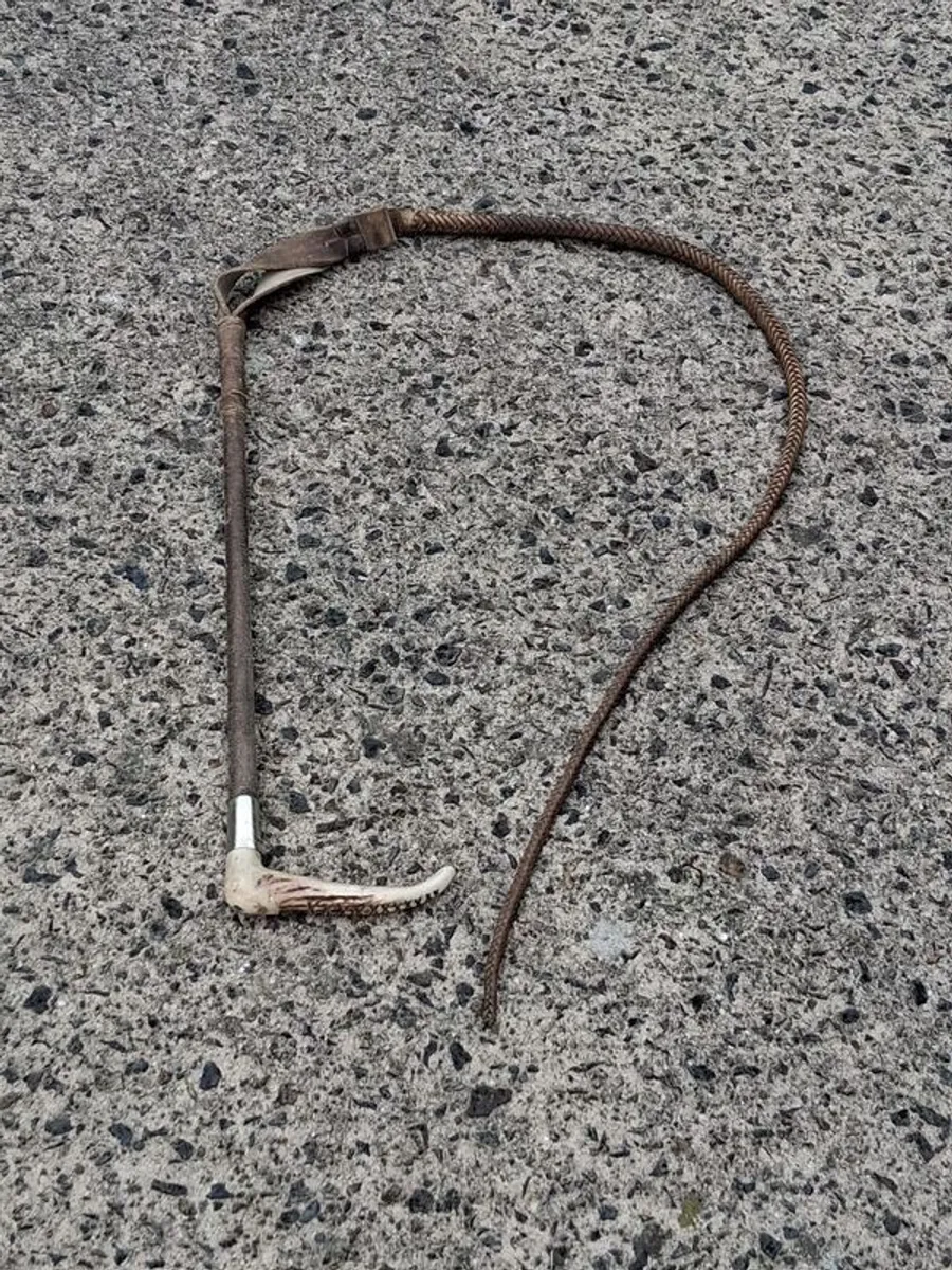 Vintage Swaine Hunting Whip - Image 1