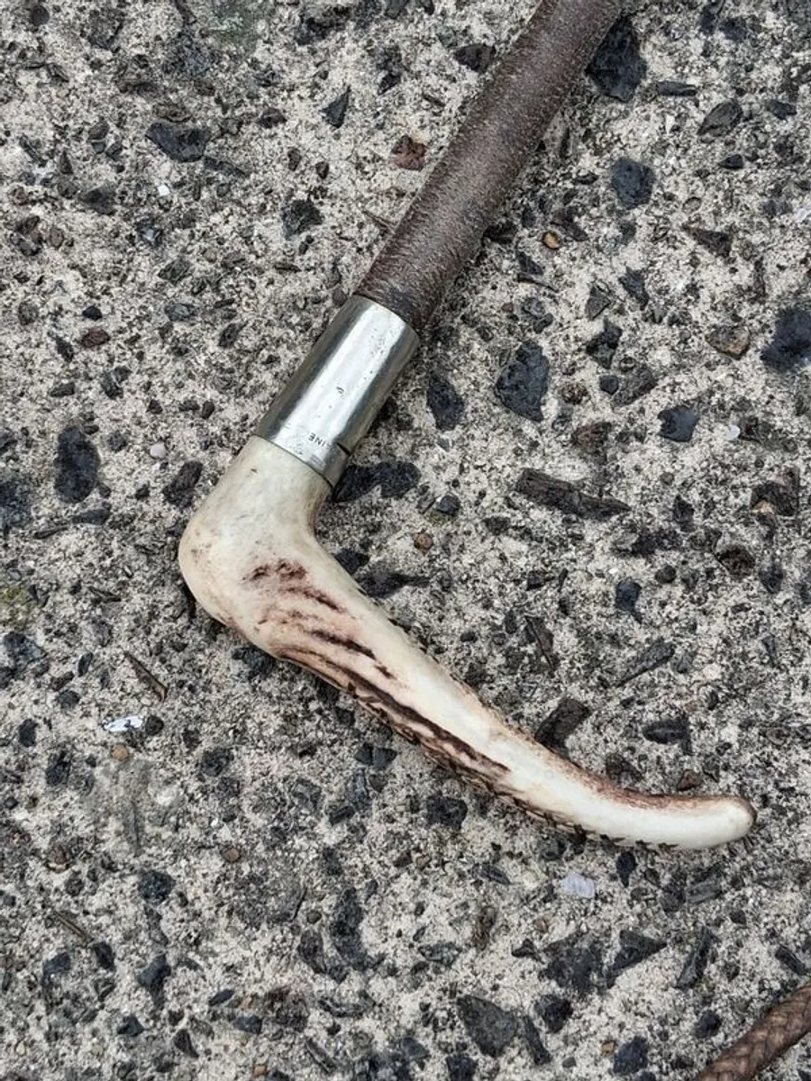 Vintage Swaine Hunting Whip - Image 2