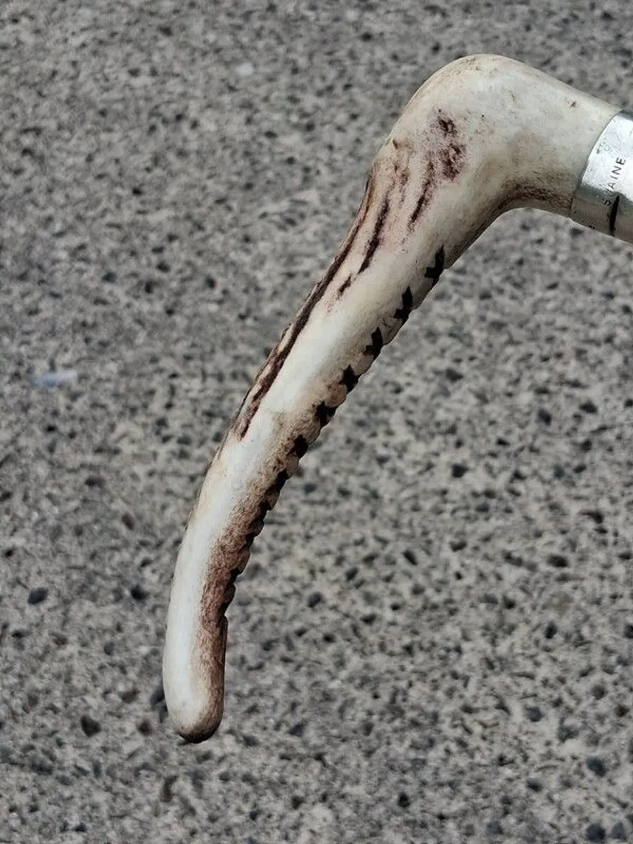 Vintage Swaine Hunting Whip - Image 4