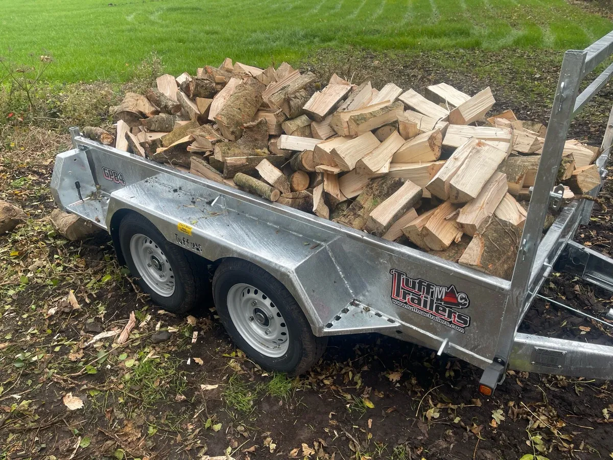 Hardwood firewood - Image 1