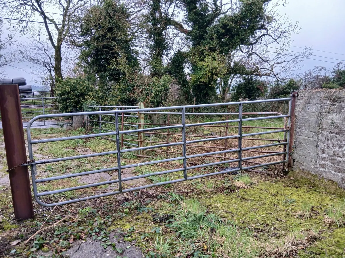 Farm gates for sale - Image 1