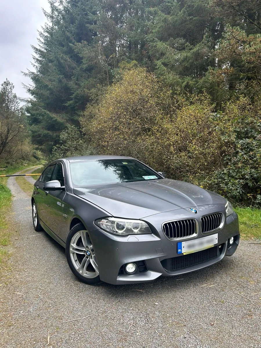 162 BWM 5 Series M Sport 520d - Image 1