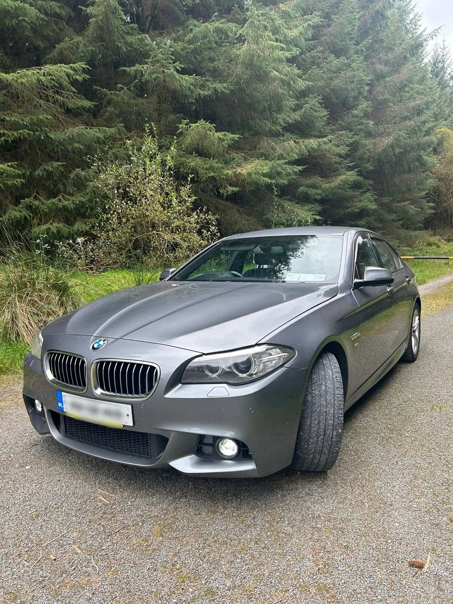162 BWM 5 Series M Sport 520d - Image 2