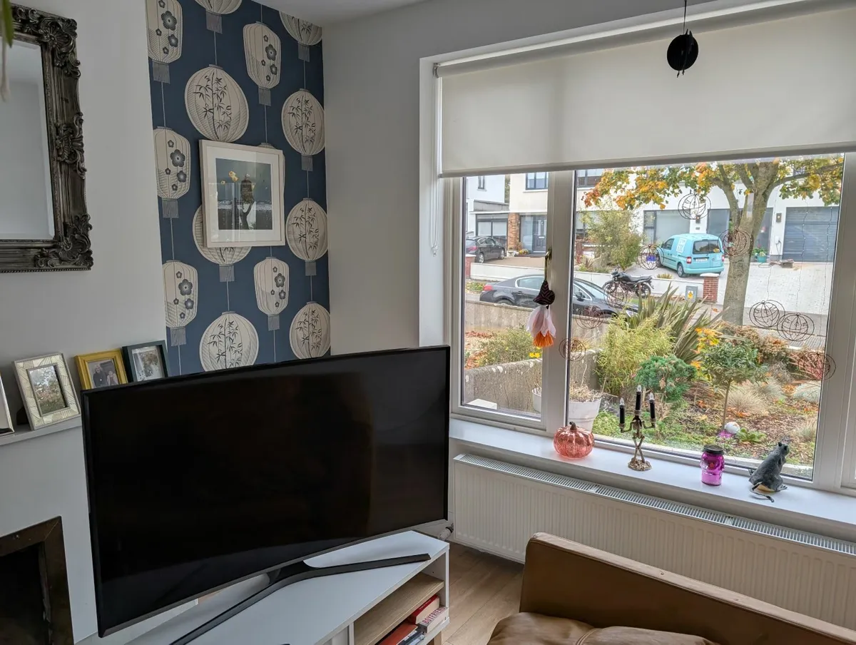 Samsung Curve 48' - Image 1