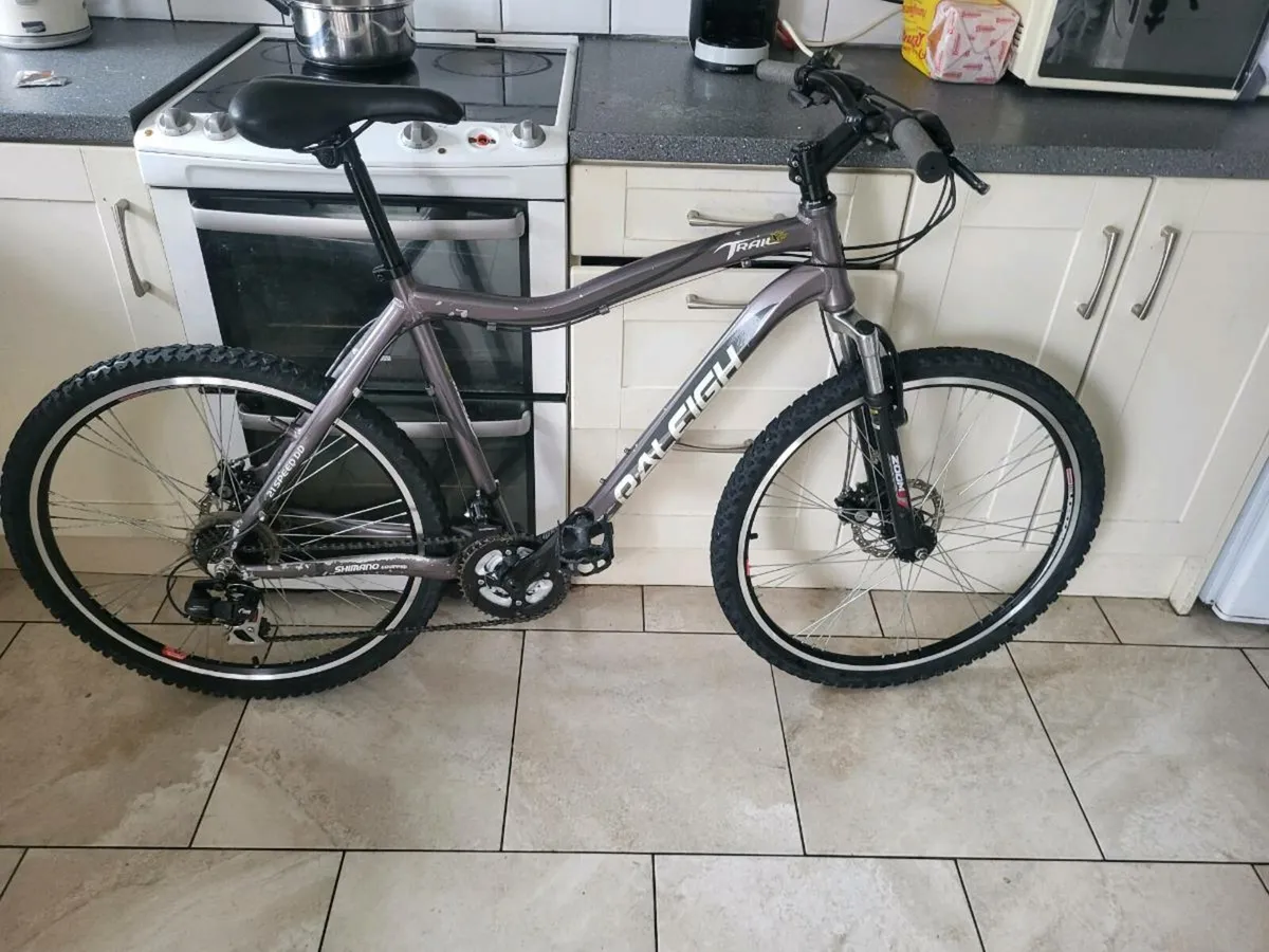 Bike - Image 1