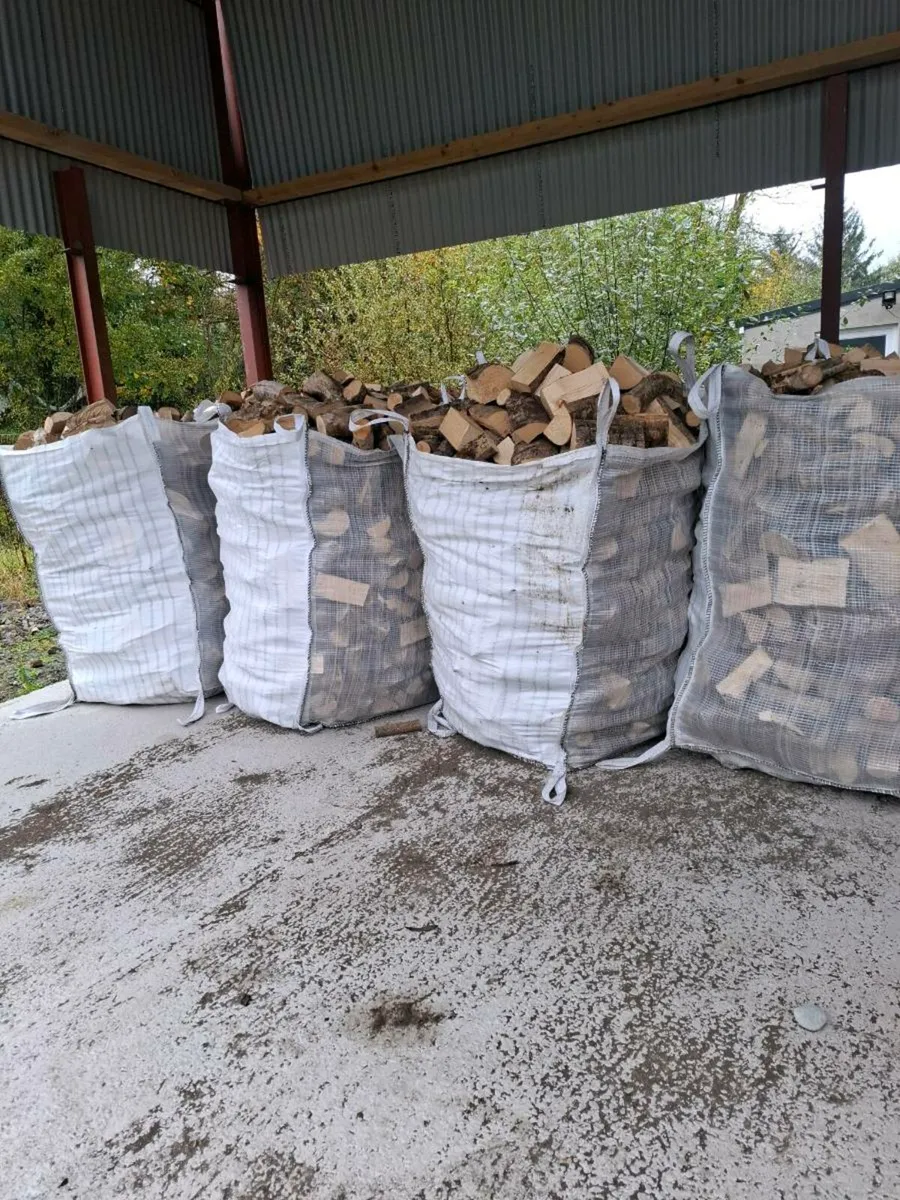 Ash. Larch and softwood  firewood - Image 1