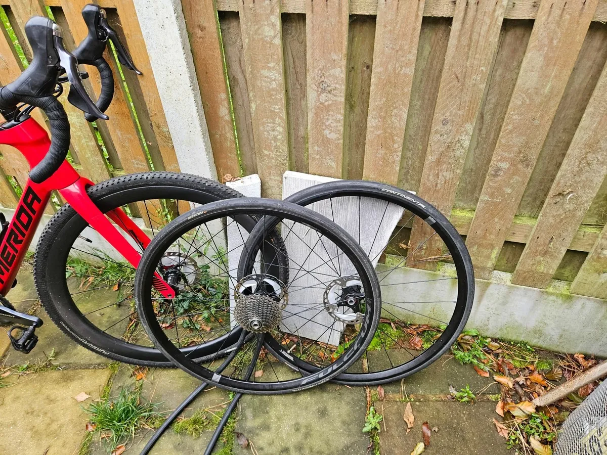 Race bike - Image 2