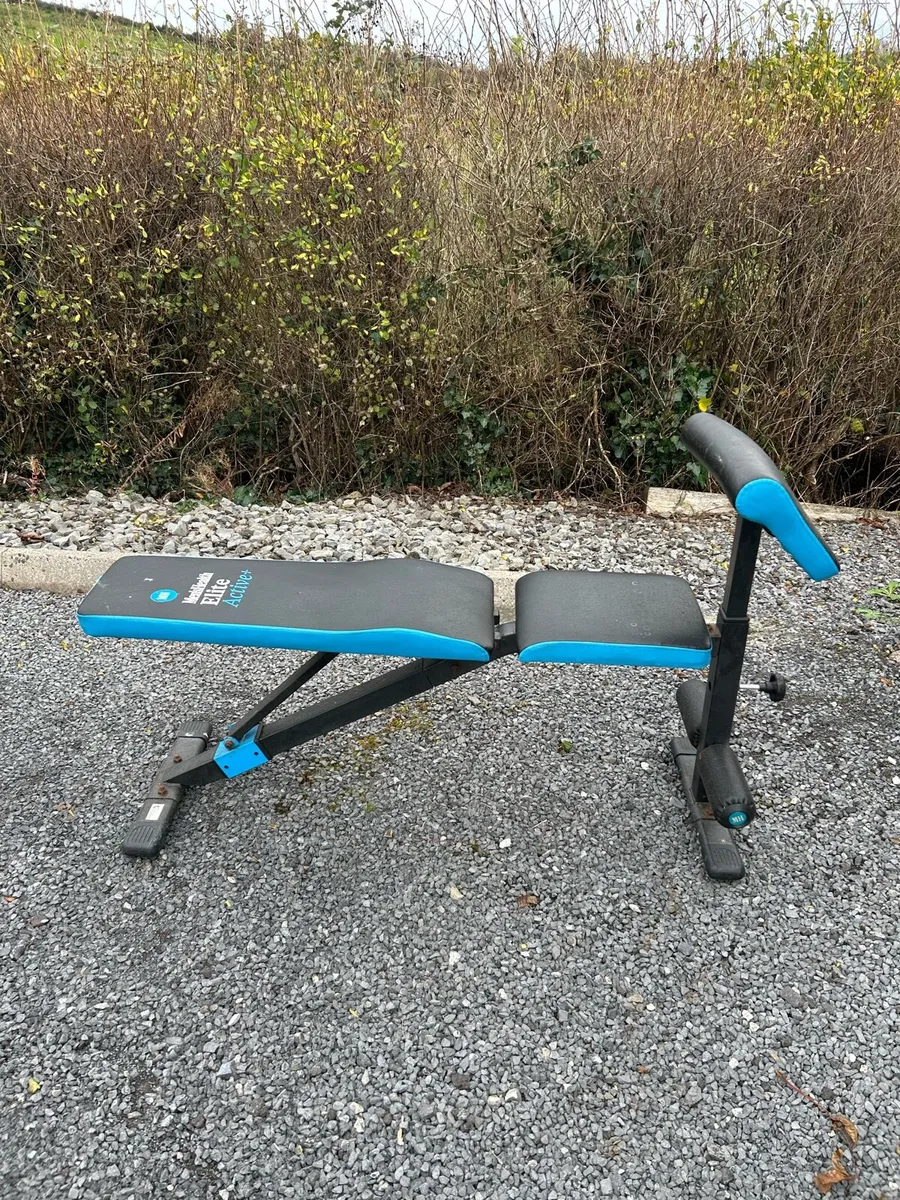 Exercise Bench