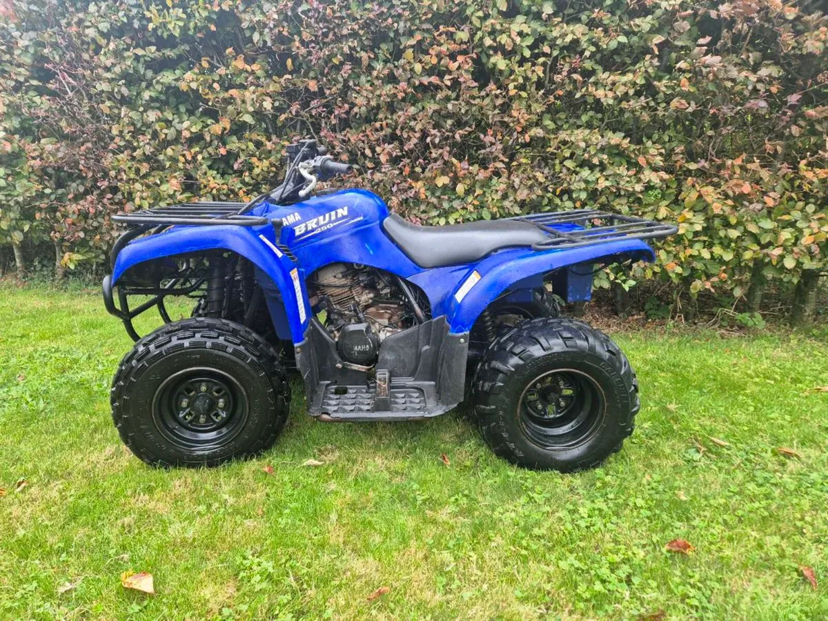 Yamaha bruin 250 farm quad - Image 1
