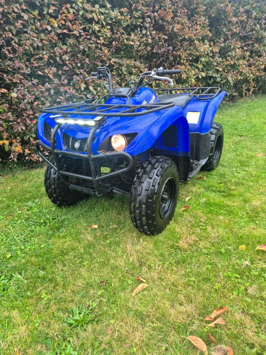 Yamaha bruin 250 farm quad - Image 2